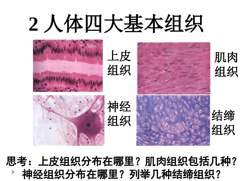 初二生命科学第一册复习_第3页