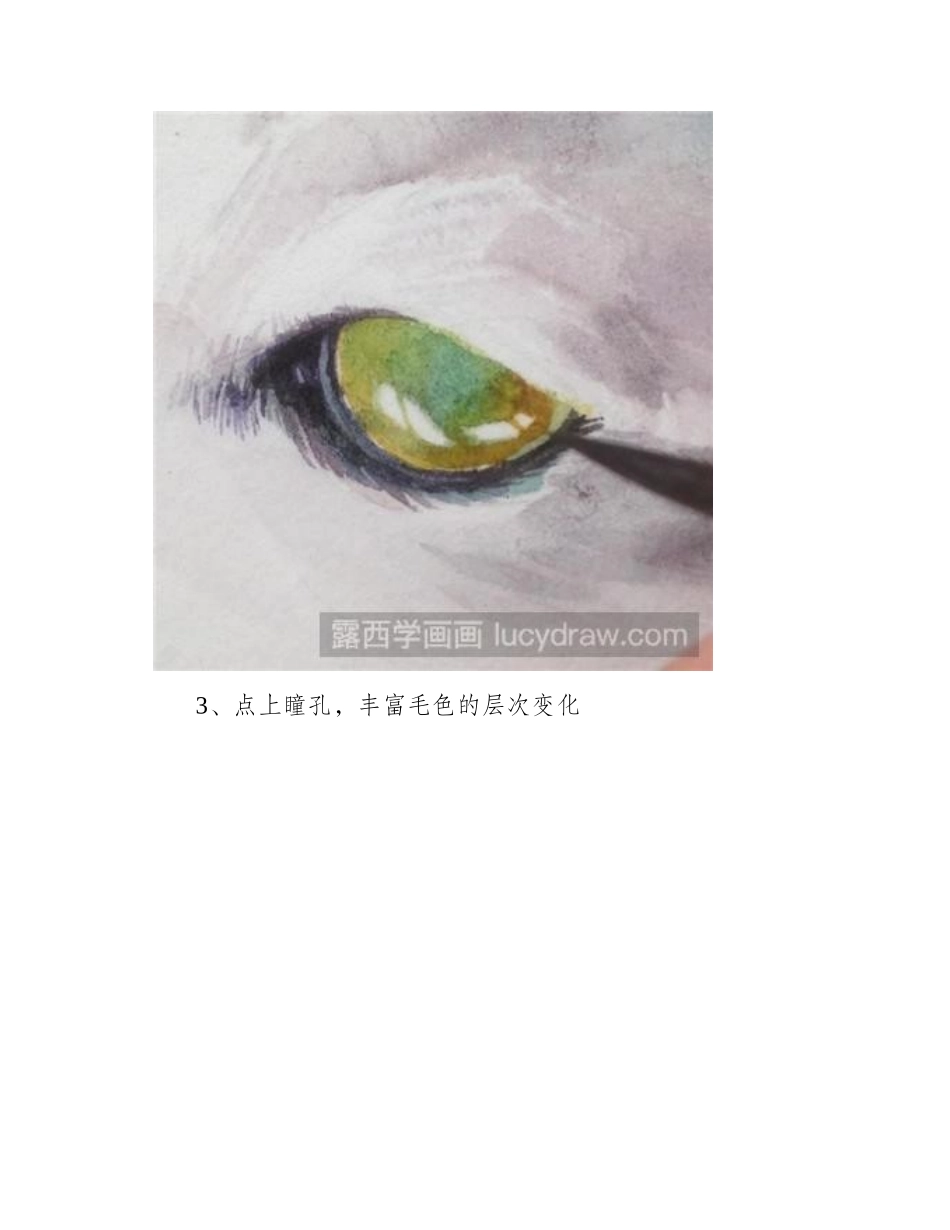 水彩画教程：教你画晒太阳的猫咪水彩画教程_第2页