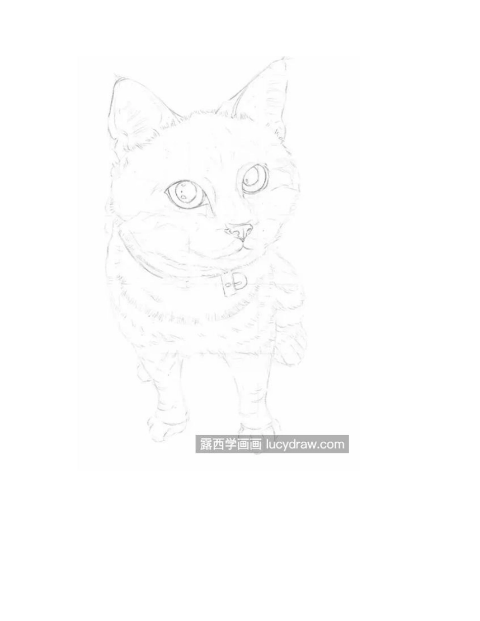 素描小猫怎么画_如何画好动物素描_素描教程1_第2页