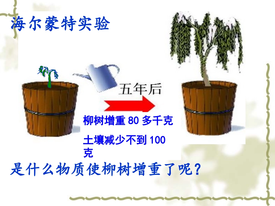 2012第一节_光合作用吸收二氧化碳释放氧气_第2页