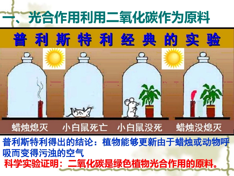 2012第一节_光合作用吸收二氧化碳释放氧气_第3页