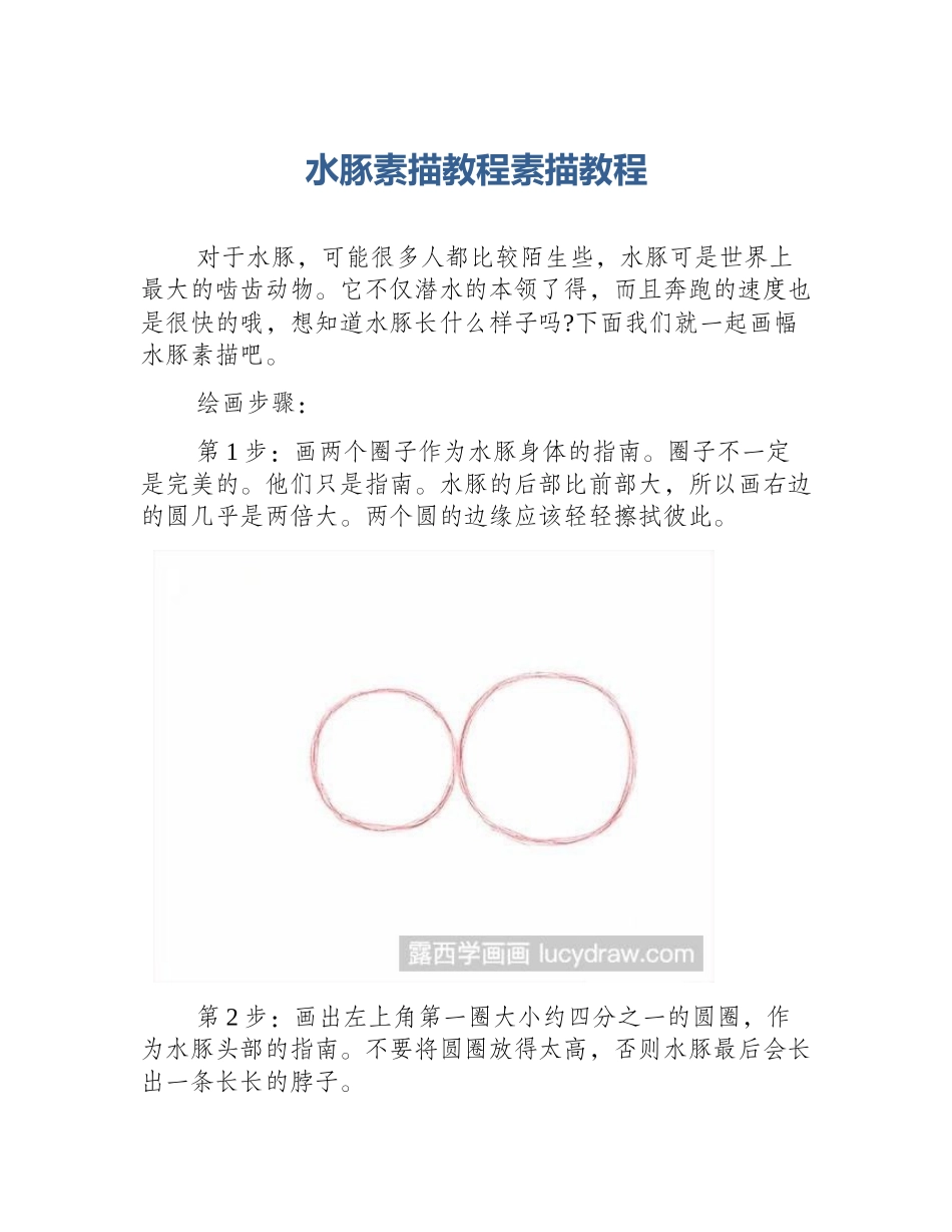 水豚素描教程素描教程_第1页