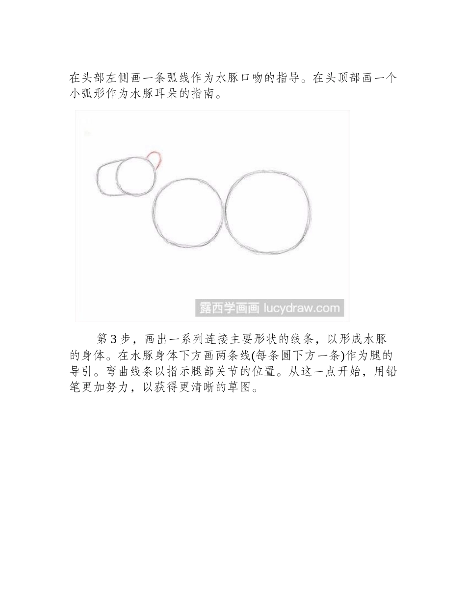 水豚素描教程素描教程_第2页