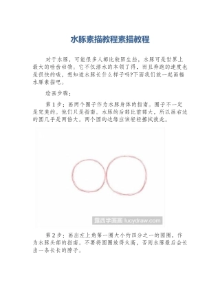 水豚素描教程素描教程