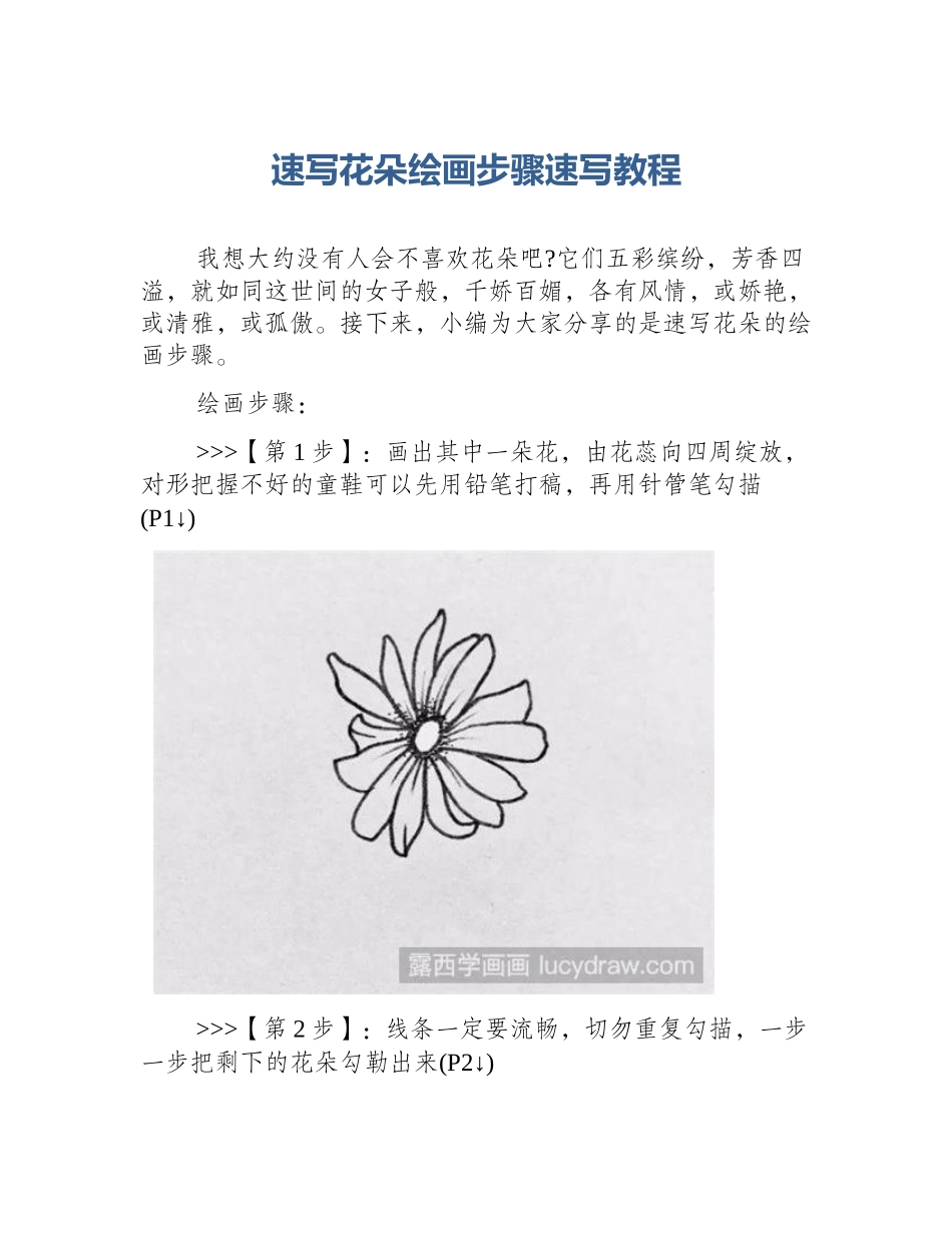 速写花朵绘画步骤速写教程_第1页