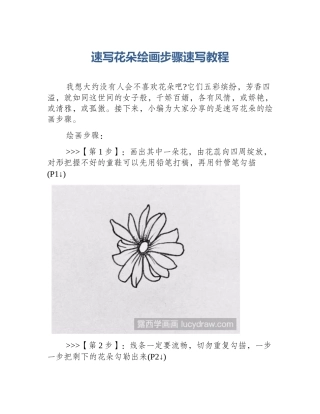 速写花朵绘画步骤速写教程