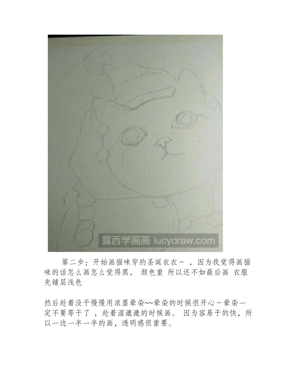 圣诞猫水彩画教程水彩画教程_第2页