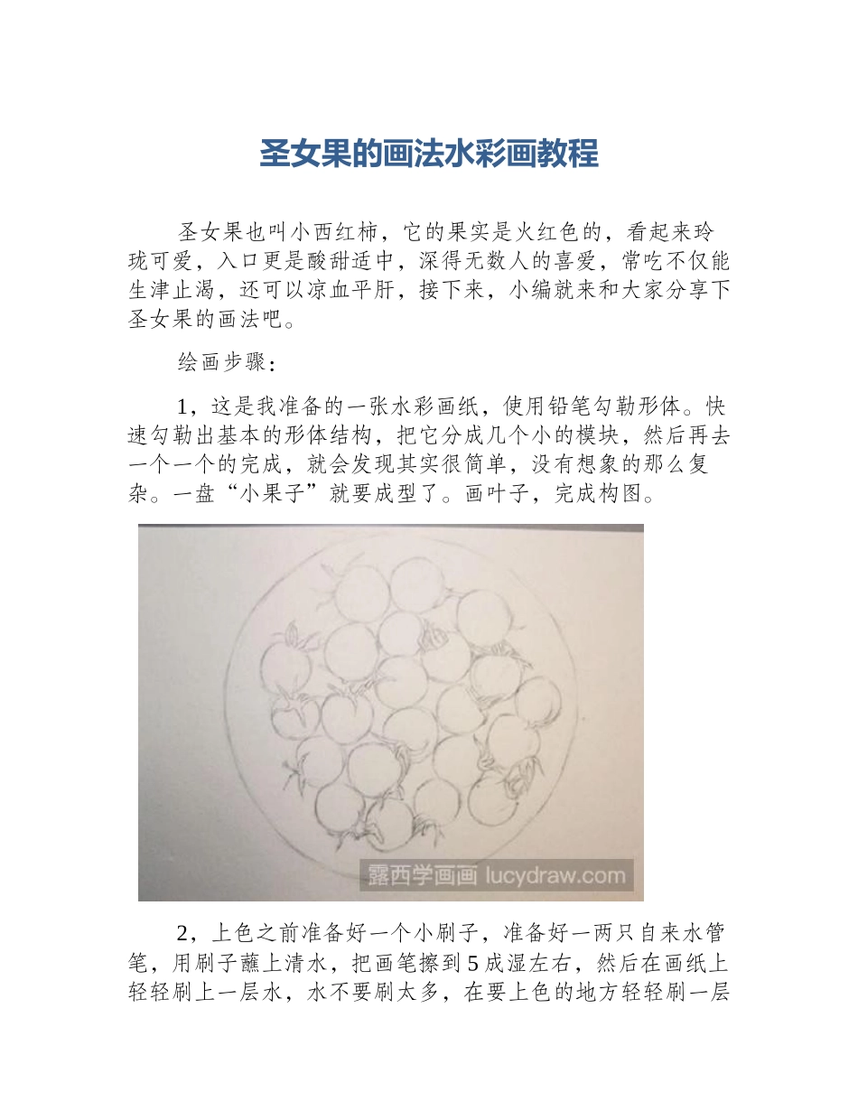 圣女果的画法水彩画教程_第1页