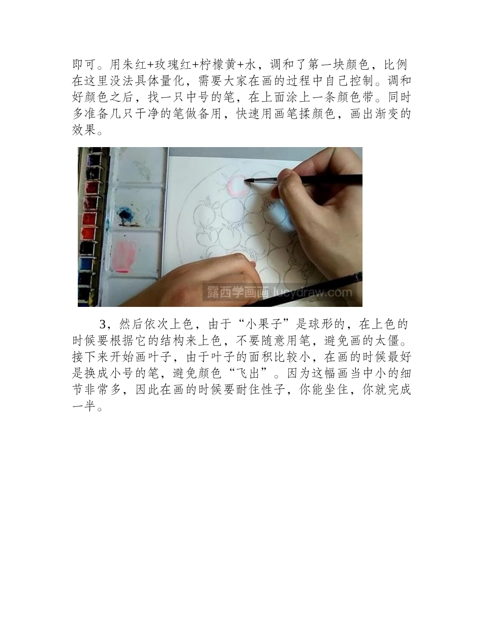 圣女果的画法水彩画教程_第2页
