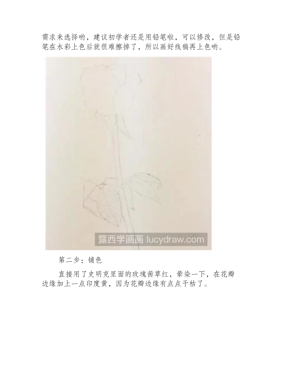 水彩画教程：教你画月季花水彩画教程_第2页