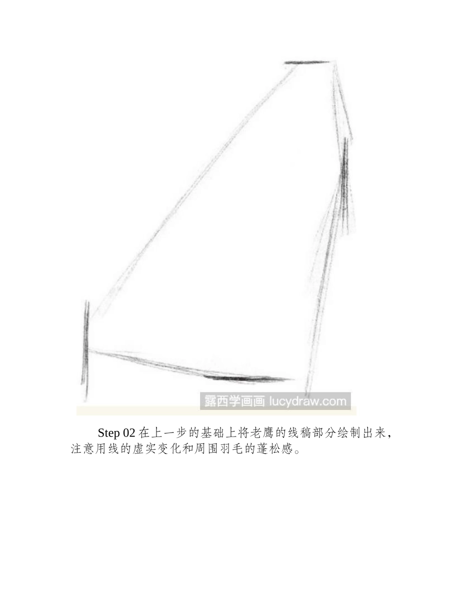 素描画凶狠的老鹰步骤教程素描教程_第2页