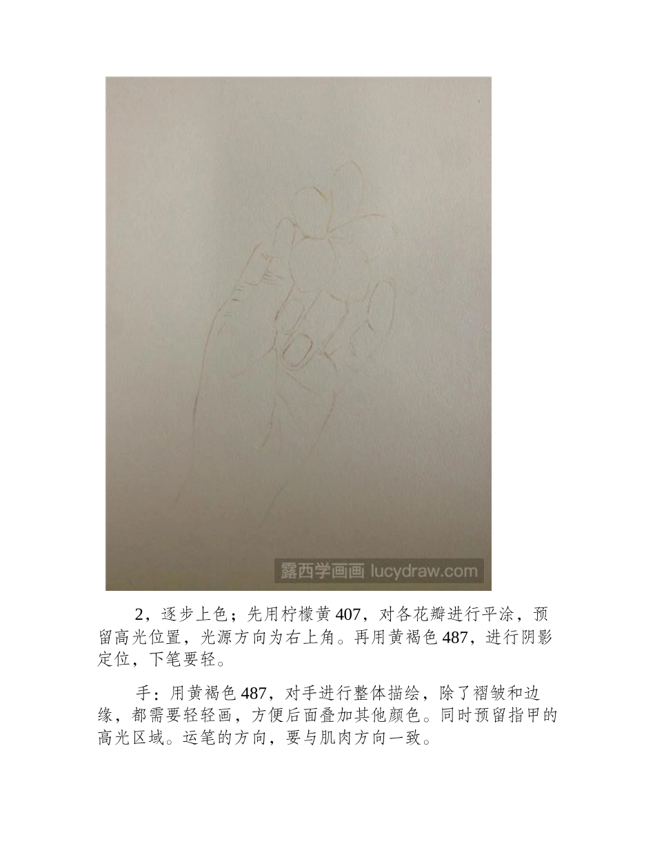 素馨花彩铅画教程彩铅画教程_第2页