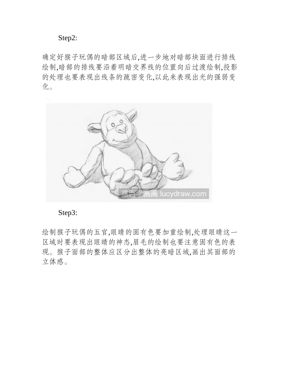 玩偶猴素描教程素描教程_第2页