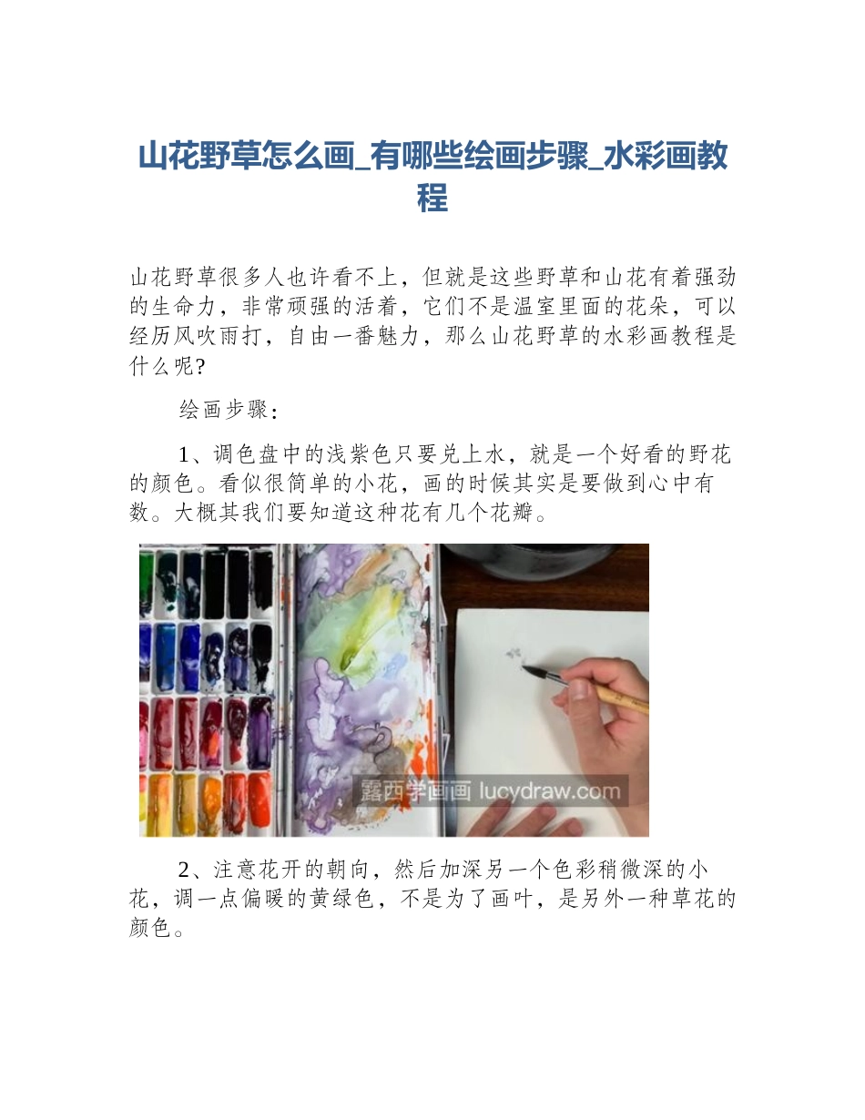 山花野草怎么画_有哪些绘画步骤_水彩画教程_第1页