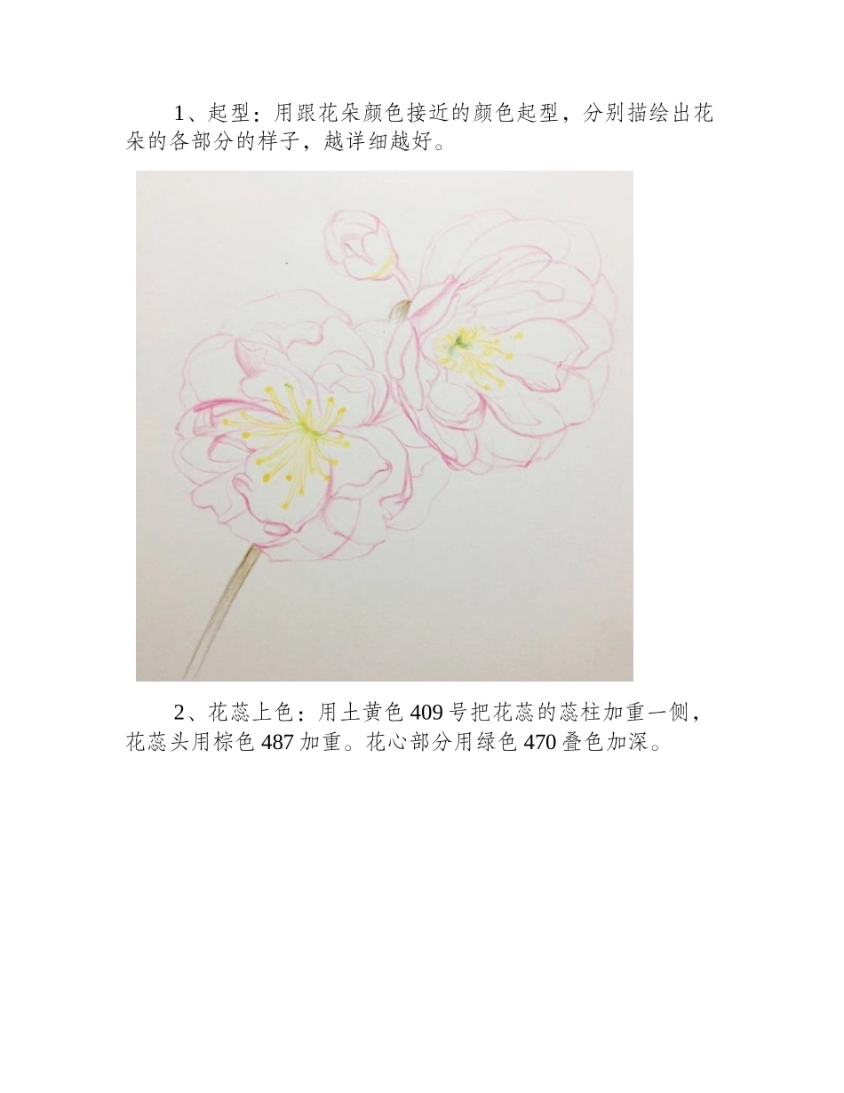 如何用彩铅画樱花_十五分钟学会画彩铅樱花彩铅画教程3_第2页