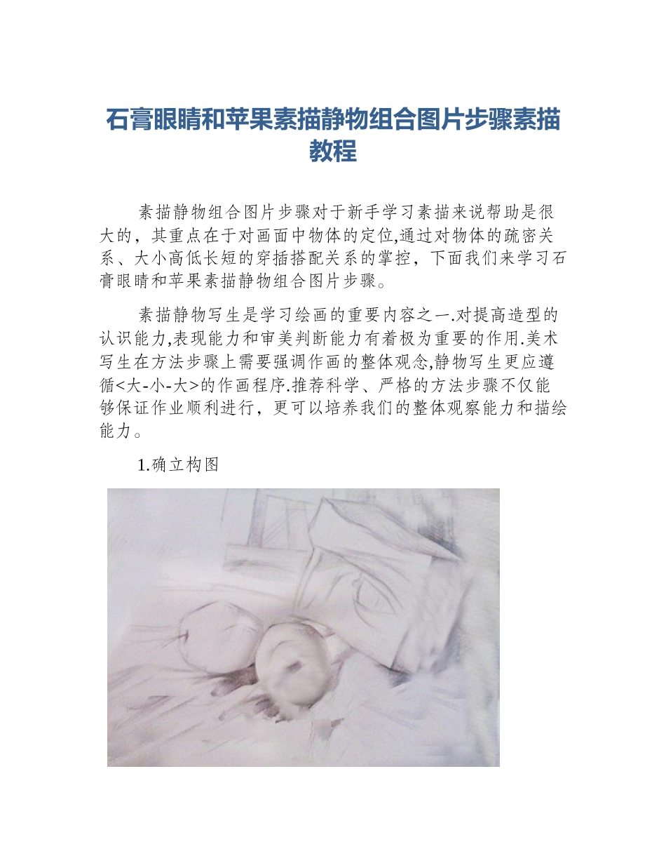 石膏眼睛和苹果素描静物组合图片步骤素描教程_第1页