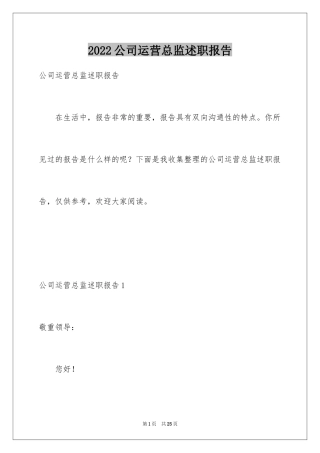 2024公司运营总监述职报告_1