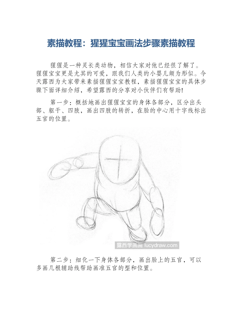 素描教程：猩猩宝宝画法步骤素描教程_第1页