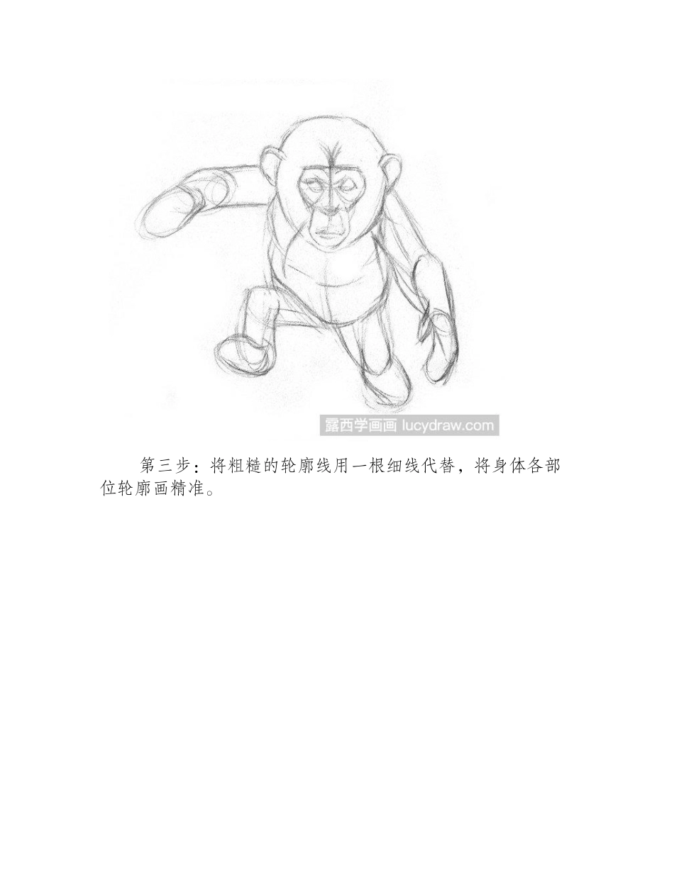 素描教程：猩猩宝宝画法步骤素描教程_第2页