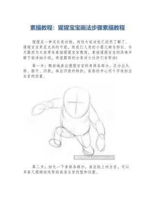 素描教程：猩猩宝宝画法步骤素描教程