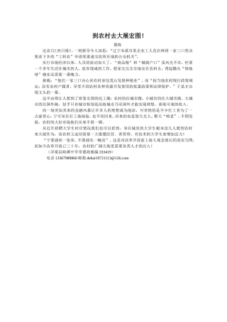 到农村去大展宏图