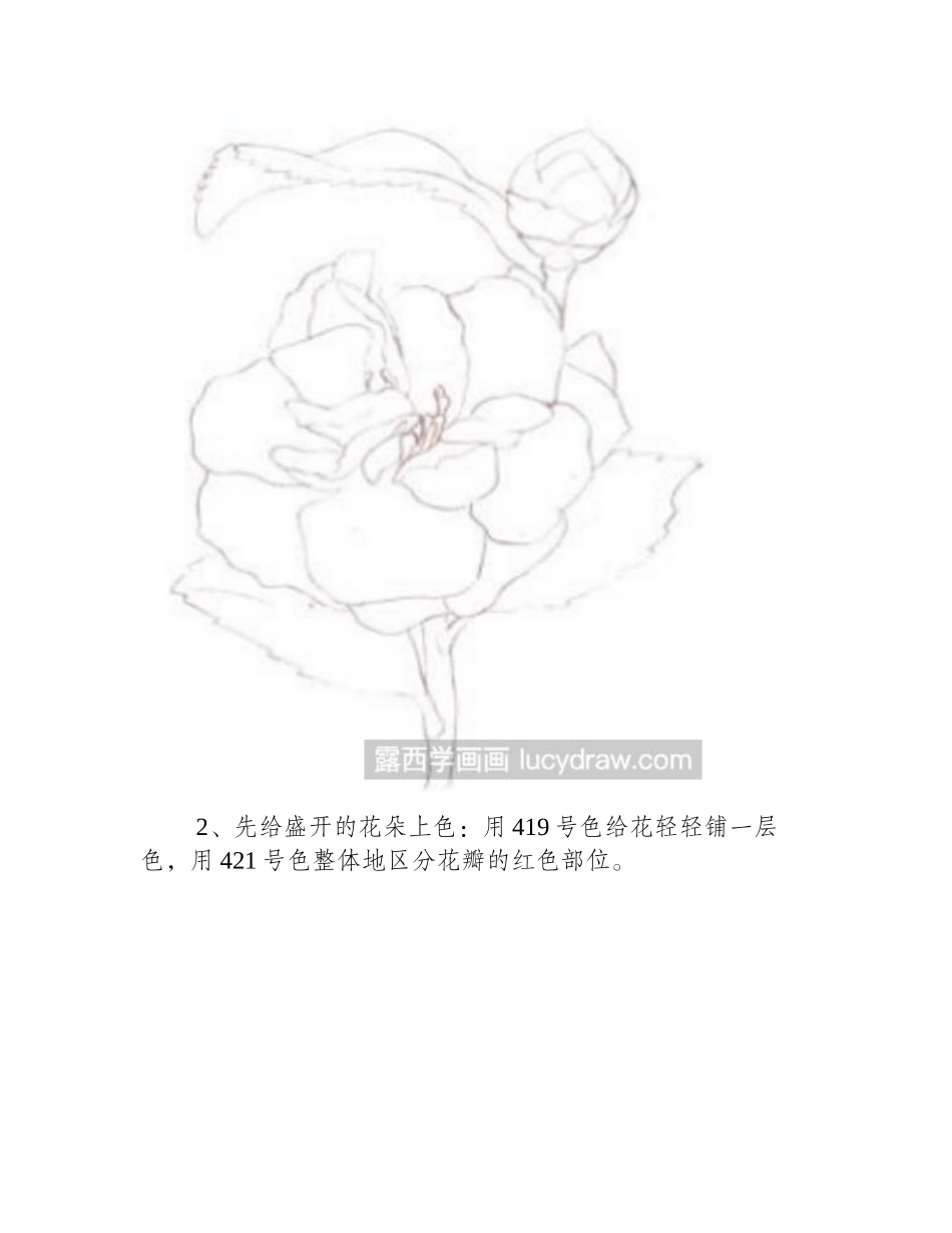 山茶花彩铅画怎么画彩铅画教程_第2页