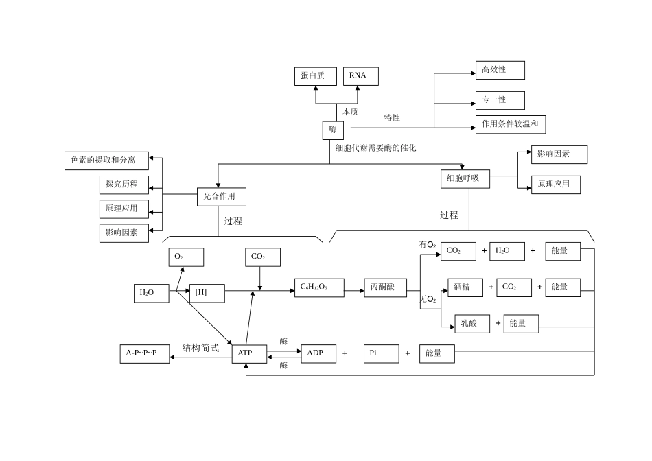 必1细胞代谢_第1页