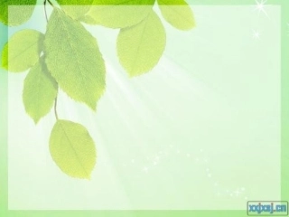适合大文本的模板