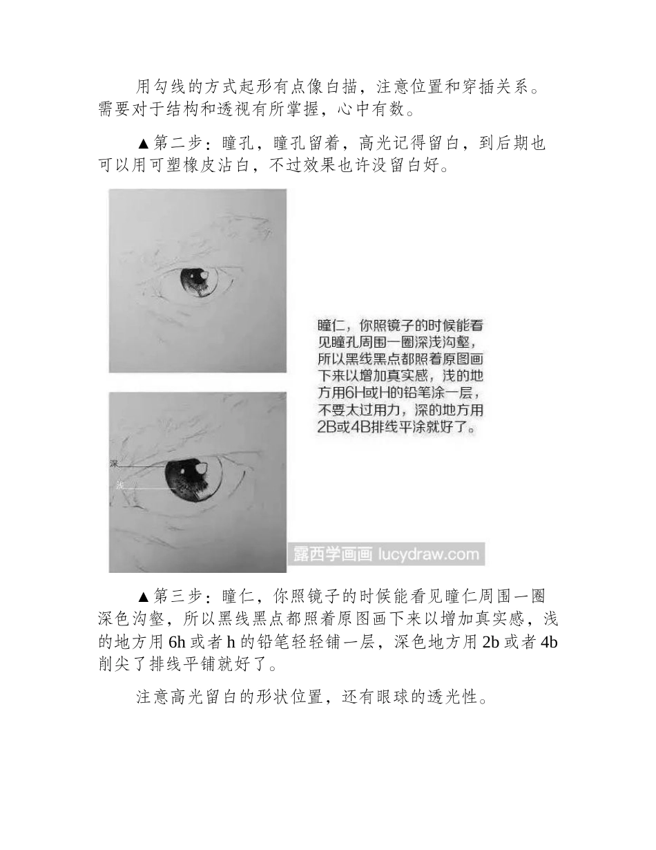 人物素描眼睛怎么画_素描教程_第2页