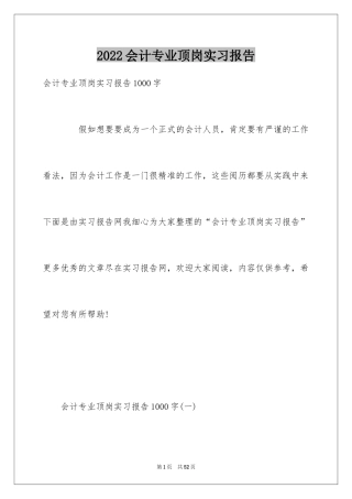 2024会计专业顶岗实习报告_2