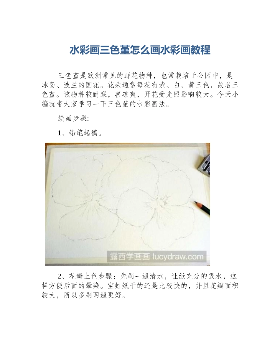 水彩画三色堇怎么画水彩画教程_第1页