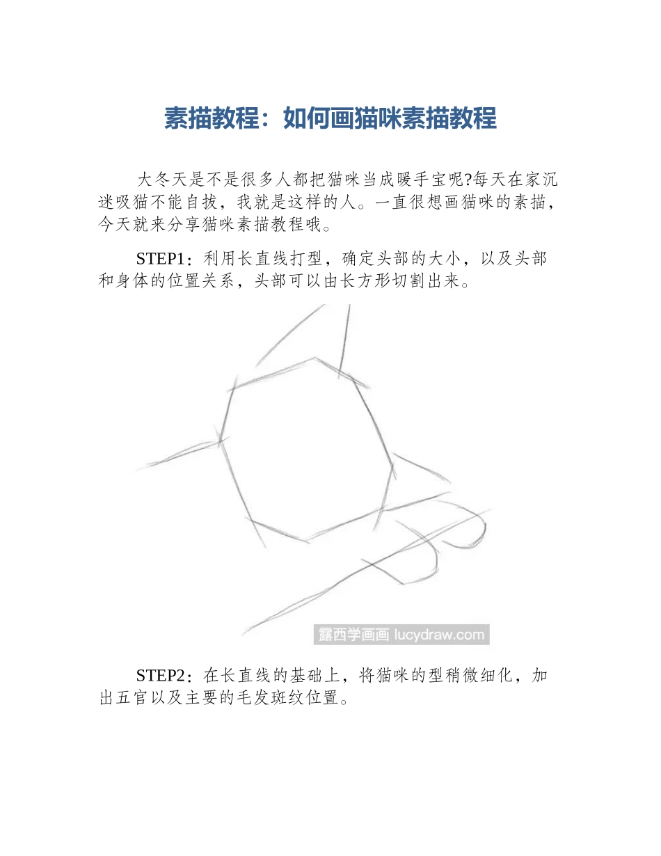 素描教程：如何画猫咪素描教程_第1页