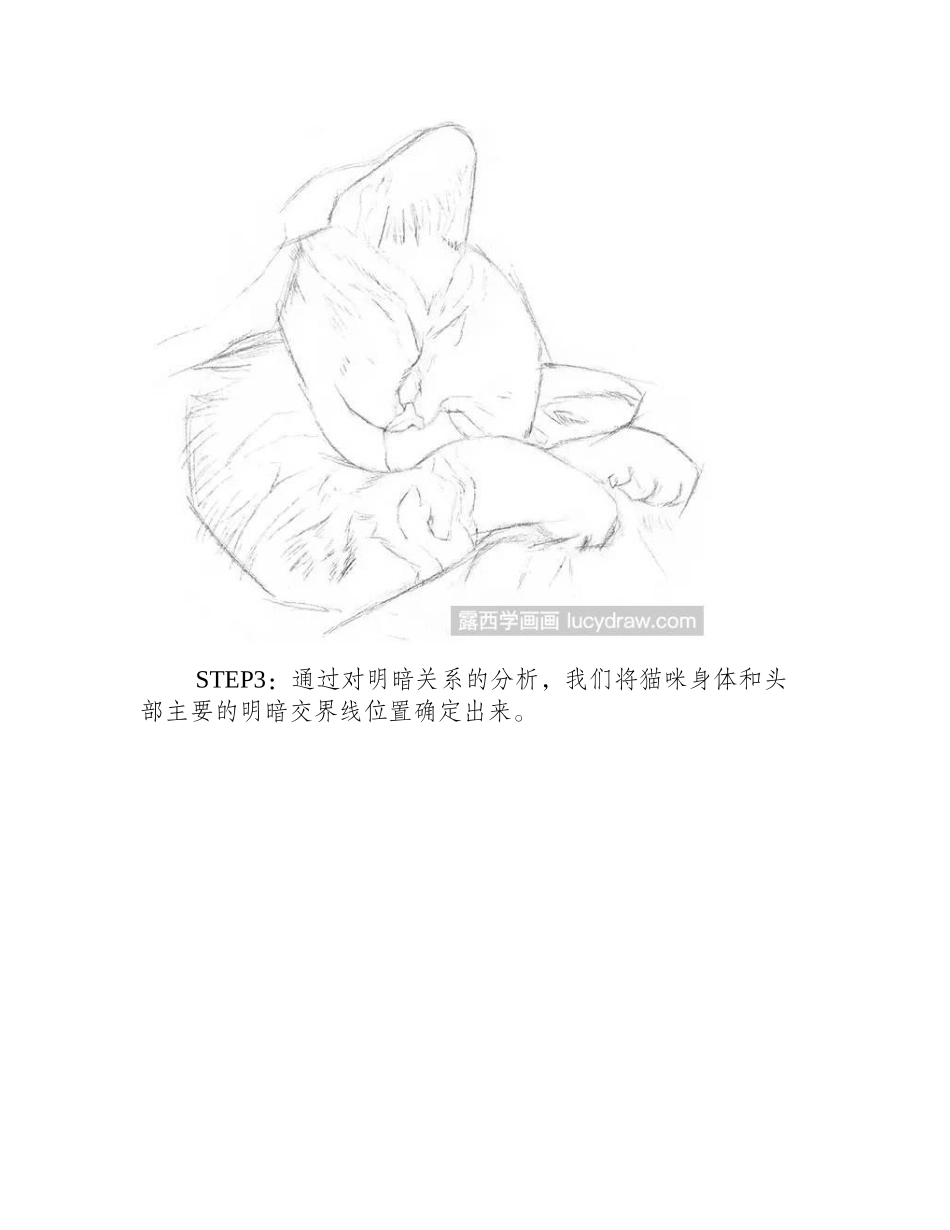 素描教程：如何画猫咪素描教程_第2页