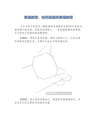 素描教程：如何画猫咪素描教程