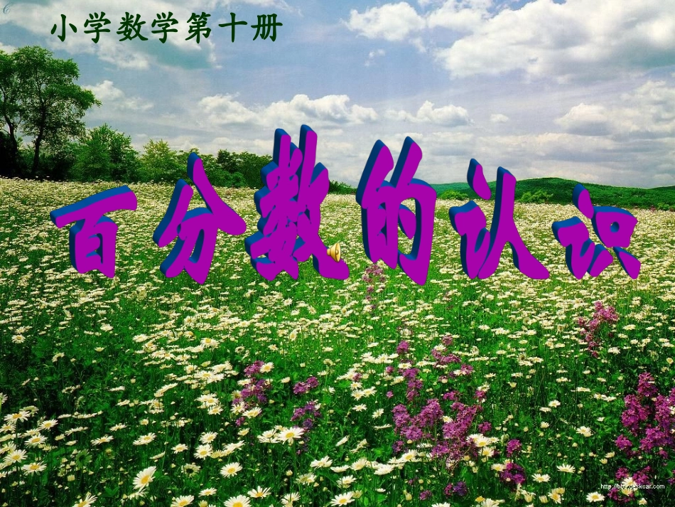 百分数的认识课件_第1页