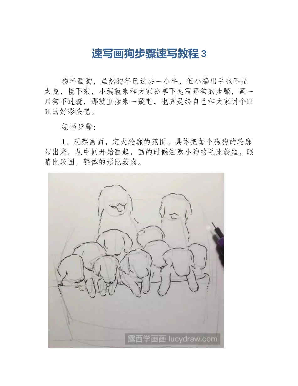 速写画狗步骤速写教程3_第1页