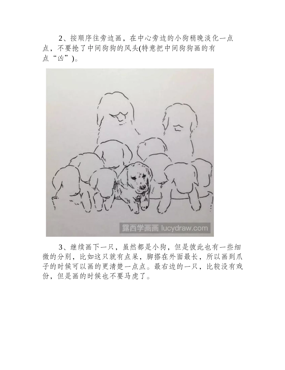 速写画狗步骤速写教程3_第2页