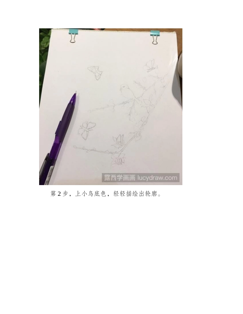 四月天彩铅画教程彩铅画教程1_第2页