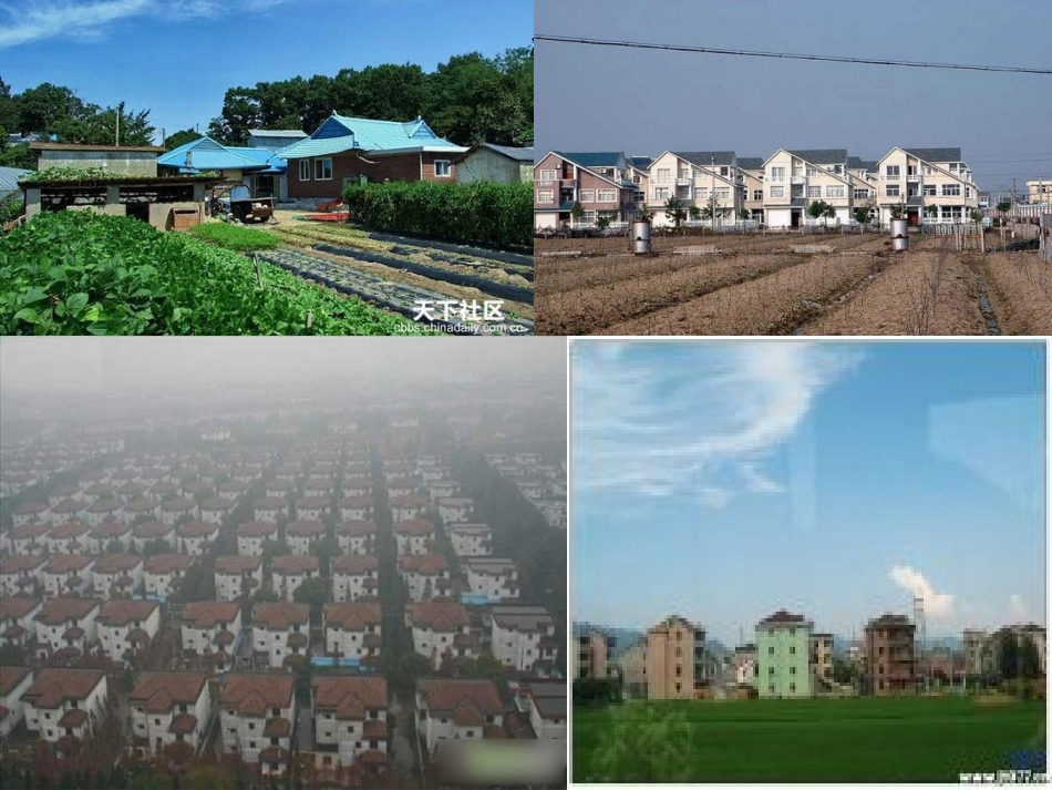 《哪座房子最漂亮》课件 (4)_第1页