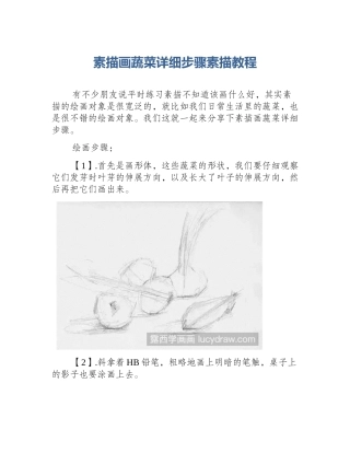 素描画蔬菜详细步骤素描教程