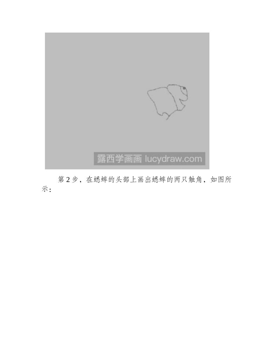 蟋蟀简笔画教程简笔画教程_第2页