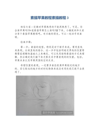 素描苹果教程素描教程3