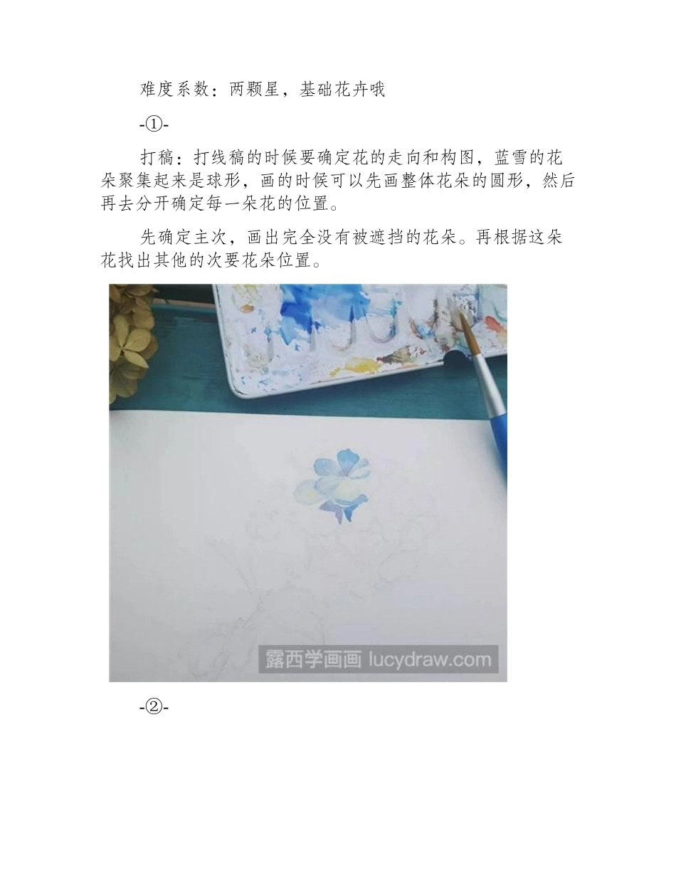 水彩画教程：教你画蓝雪花水彩画教程_第2页