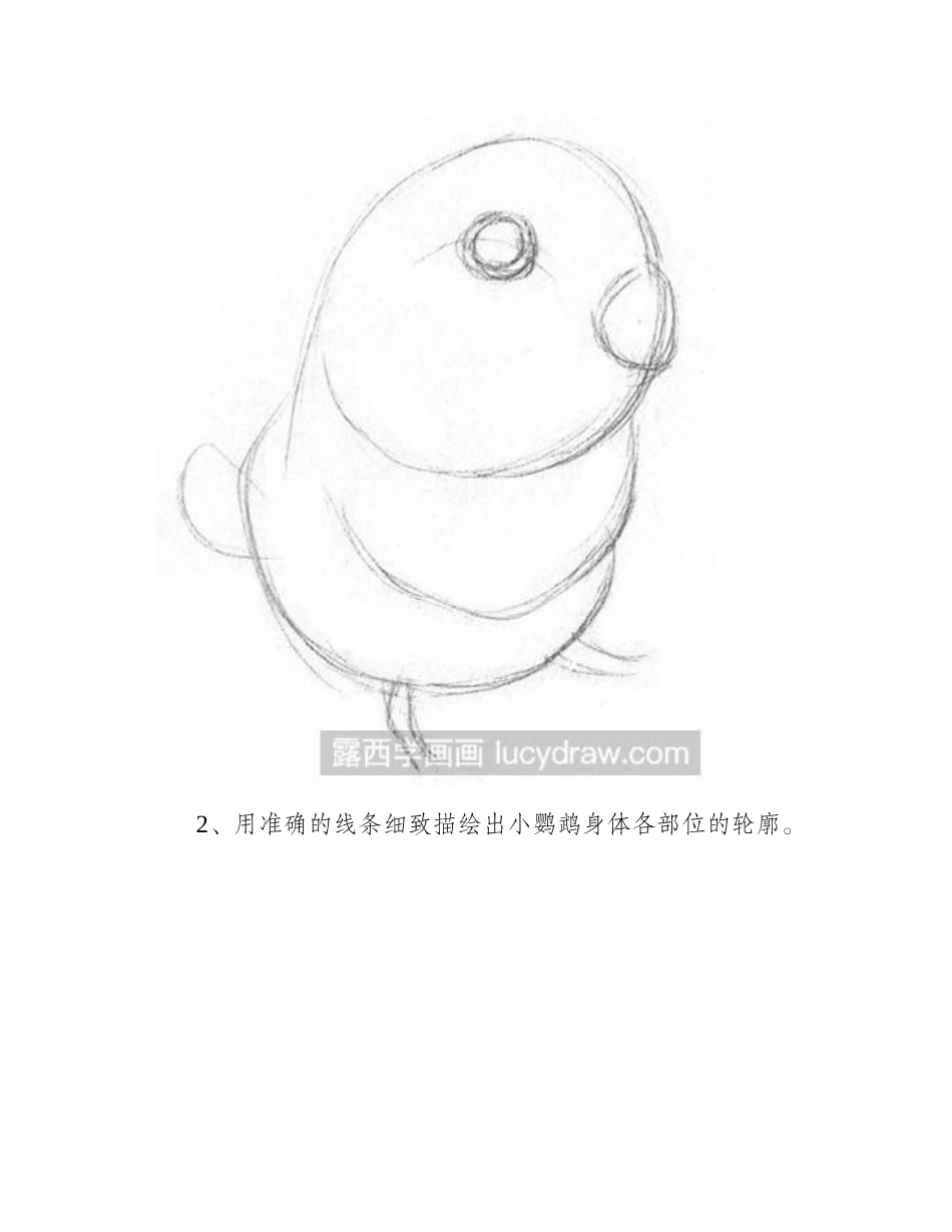 素描教程：小鹦鹉素描教程_第2页