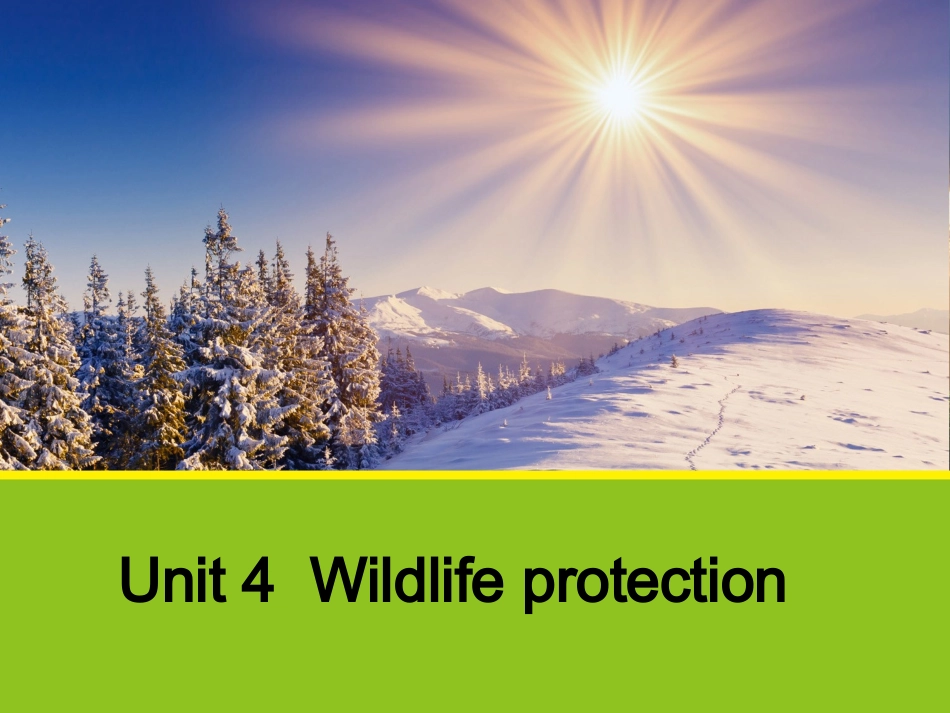 人教英语必修二同课异构课件：Unit4WildlifeprotectionSectionAWarmingUpandReading1_第1页
