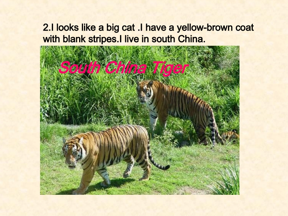 人教英语必修二同课异构课件：Unit4WildlifeprotectionSectionAWarmingUpandReading1_第3页