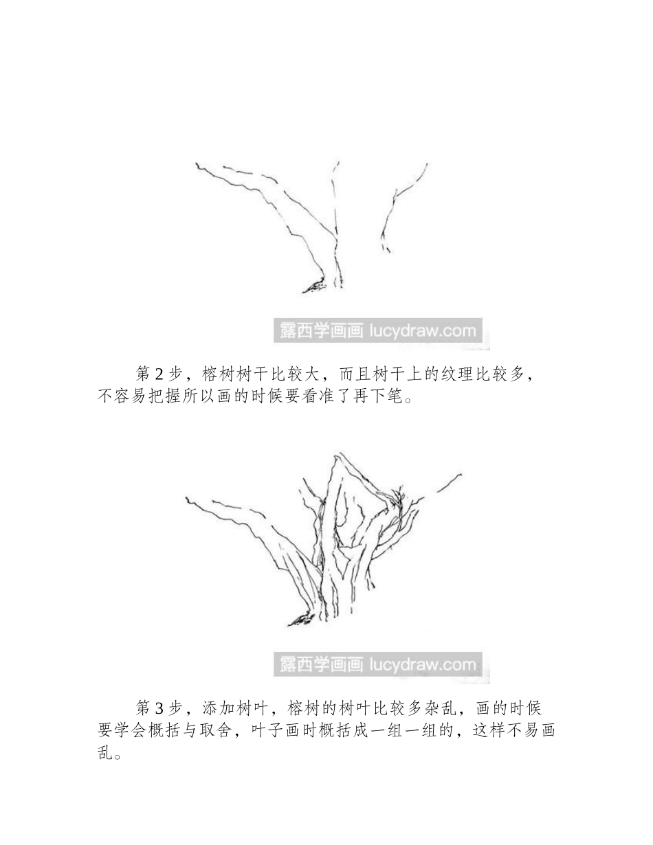 榕树钢笔画教程钢笔画教程_第2页
