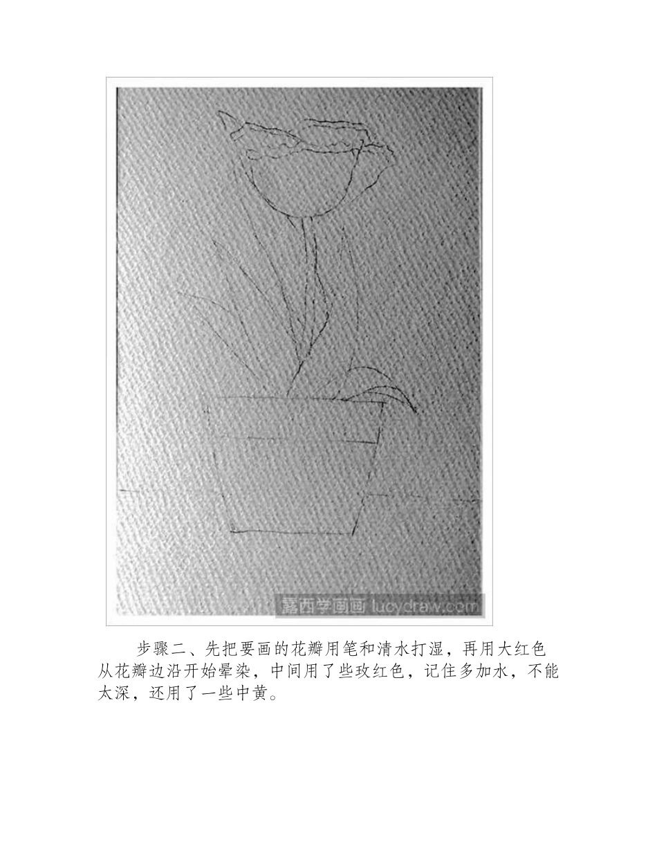 水彩虞美人教程水彩画教程_第2页