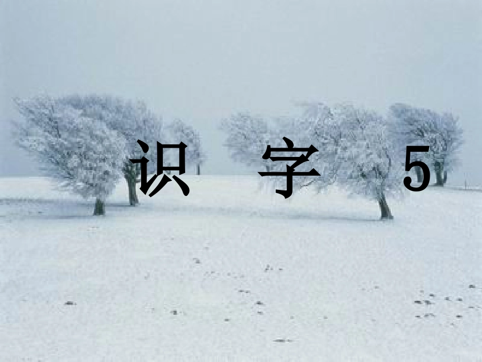 二年级上册识字5_第1页