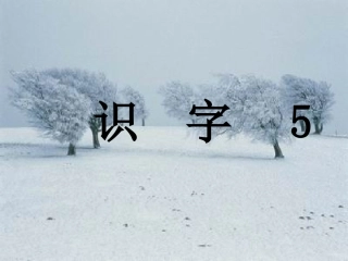 二年级上册识字5